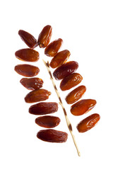 date fruits on white
