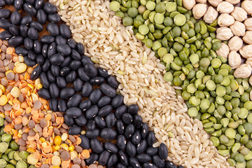 Diagonal rows of dried grains.
