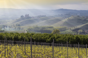 Spring View the Langhe Unesco heritage