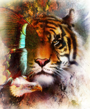 tiger with eagle and ornamental mandala and butterfly,  wildlife animals on painting background, Eye contact. Brown, orange, black and white color.