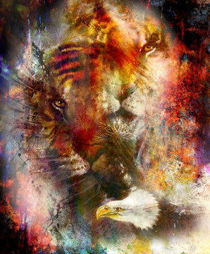 beautiful painting of eagle and tiger on an color abstract background with ornamental pattern, with spot structures
