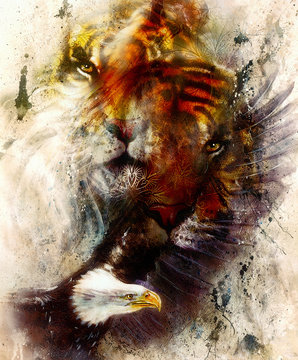 beautiful painting of eagle and tiger on an color abstract background with ornamental pattern, with spot structures. Brown, orange, black and white color.