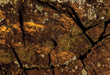old wooden background with crack