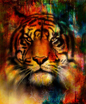 beautiful painting of eagle and butterfly  on an abstract background, color with spot structures. Blue, orange, green, red, black color.