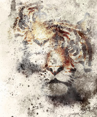 tiger collage on color abstract background and mandala with ornament, painting wildlife animals and sports.