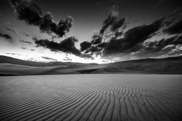 Black and White Desert Landscape