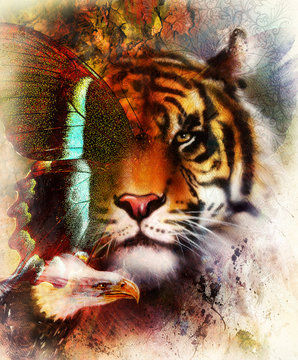 portrait tiger with eagle and butterfly wings.. Color Abstract background and ornament, vintage structure. Animal concept.