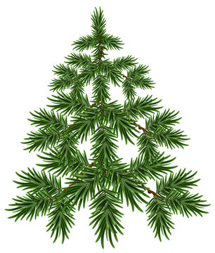 Green Christmas Tree. Fluffy fir. Green pine tree