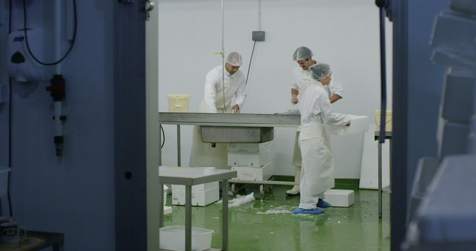 Workers in a seafood processing factory preparing fresh fish for sale