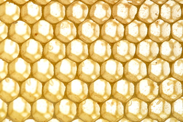honeycomb
