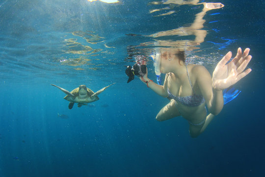 Sea Turtle and young woman snorkeling and photographing it