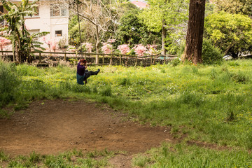 Fototapeta premium Auckland's Mount Eden