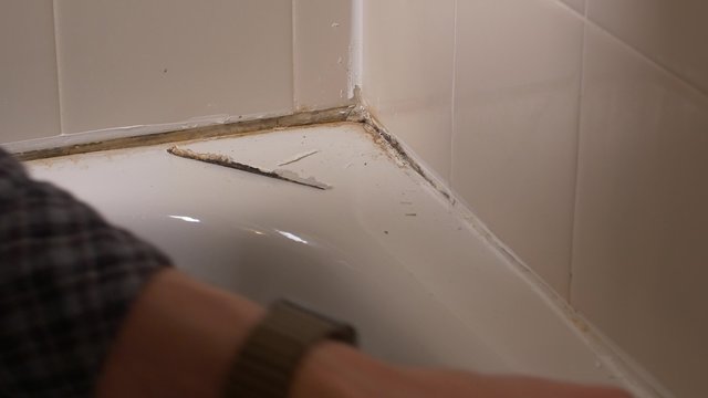 peeling off and setting down large piece of moldy caulking