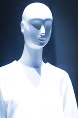 Shop dummy fashion clothes store mannequin