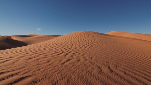 Sahara Desert landscape, wonderful dunes early in the morning