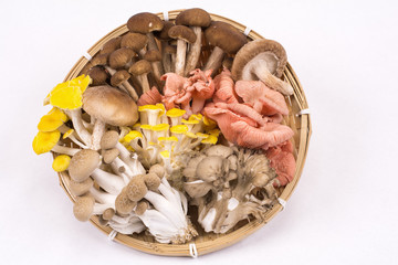 ザルの上のキノコの盛り合わせ