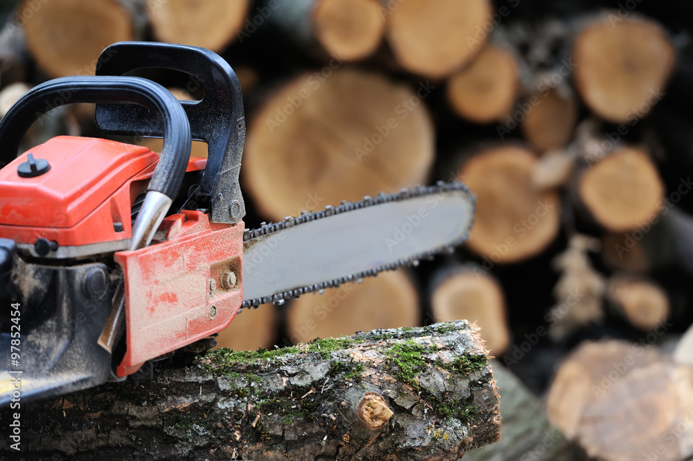 Wall mural chainsaw and tree