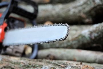  Chainsaw and tree