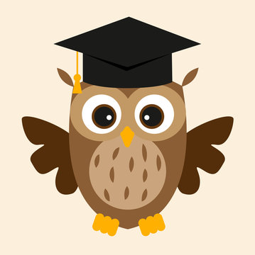 owl study