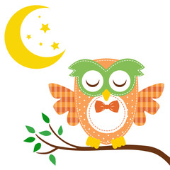 owl funny sleep on a branch and moon