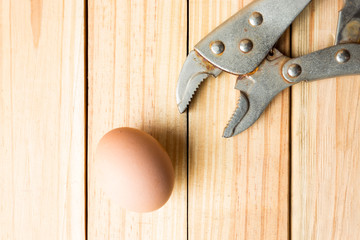 hen egg and tool