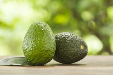 avocado