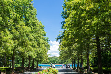 Nagai botanical garden entrance,osaka tourism of japan（長居植物園）