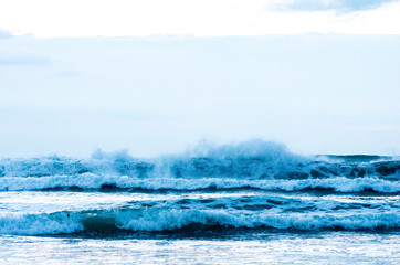 morningglow wave（波）