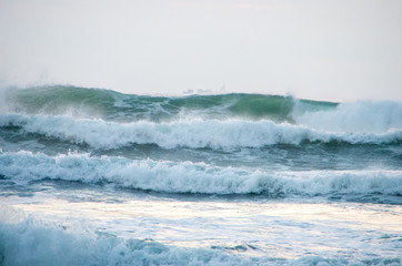 morningglow wave（波）