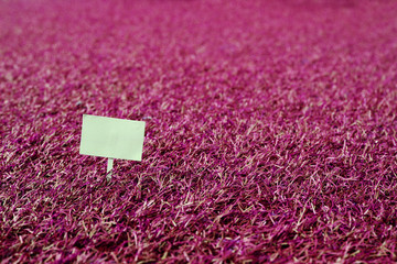 Sign on grass, green lawn, with space for caption, dreamy color
