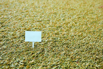 Sign on grass, green lawn, with space for caption, dreamy color