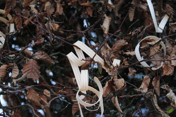 Braunes Laub mit Dekoration