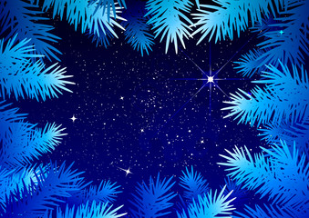 Fototapeta na wymiar Starry sky in the winter forest. Spruce branches frosty pattern
