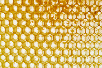 honeycomb