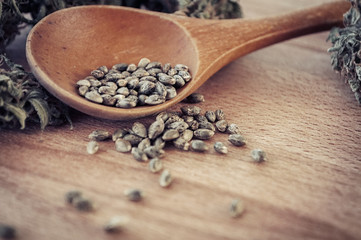 cannabis seeds and money