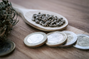 cannabis seeds and money