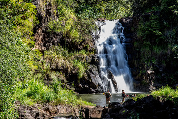 Beautiful tropical waterfall in Waimea Valley park on Oahu island