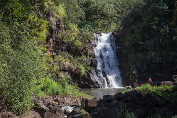 Beautiful tropical waterfall in Waimea Valley park on Oahu island