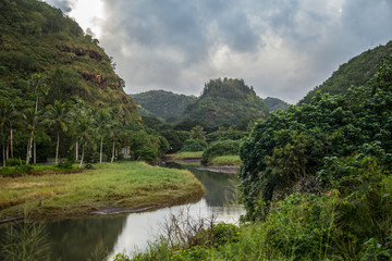 Fototapeta na wymiar Beautiful tropical waterfall in Waimea Valley park on Oahu island