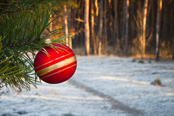 Idą święta © Mariusz Stoszewski