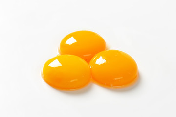 Raw egg yolks - obrazy, fototapety, plakaty