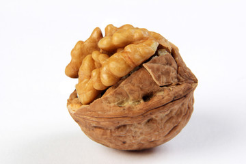  Walnut
