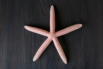 Close-up of red starfish on old wooden board