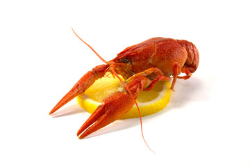 Boiled crawfish