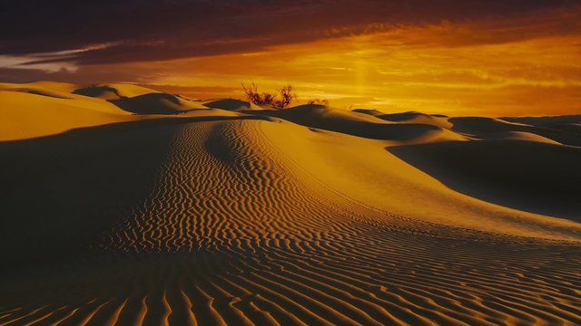 Wonderful Sahara desert landscape. Dunes at sunset.