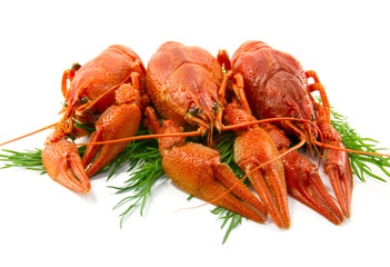 Boiled crawfish