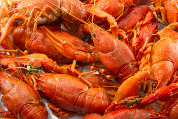 Boiled crawfish