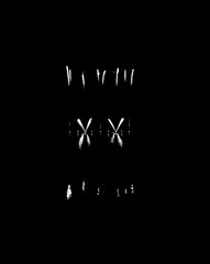 Vector Fireworks with reflection on lake