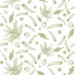 Vector herb pattern with aloe vera, flowers and branches. - obrazy, fototapety, plakaty