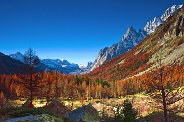 Panorama dalla val Ferret sul monte Bianco e l'Aiguille noire,con i bei colori dell'autunno